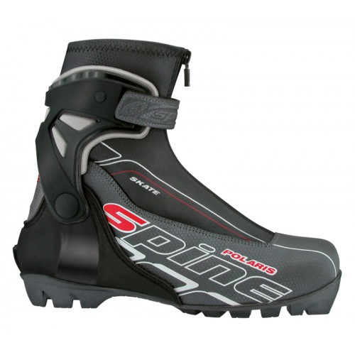http://stc-optom.ru/image/cache/data/ski/spine_polaris-500x500.jpg